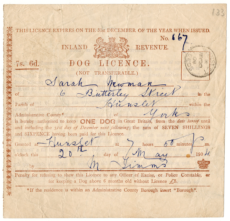 Dog Licence