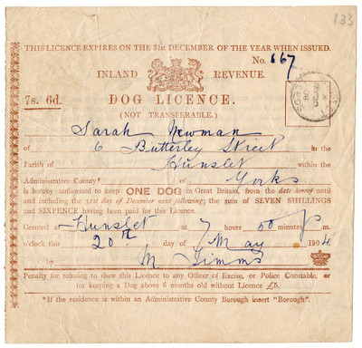 Dog Licence
