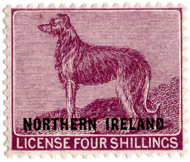 Dog Licence