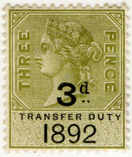 (36) 3d Sage Green
