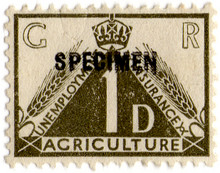 (08) 1d Olive-Brown (1936)