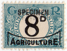 (06) 8d Turquoise & Black (1936)