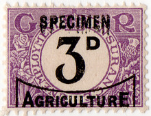 (01) 3d Purple & Black (1936)