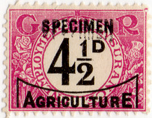 (04) 4½d Mauve & Black (1936)