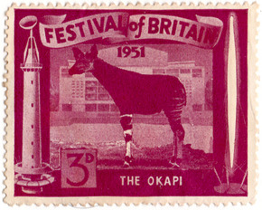 The Okapi