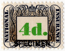 1948-1955