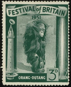 The Orang-Outang