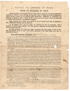 Complete 1907 Dog Licence (reverse)